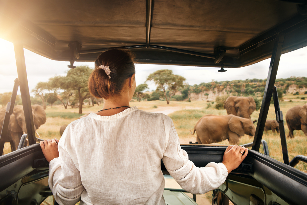 Safari en tanzani : nos conseils pour en profiter pleinement !