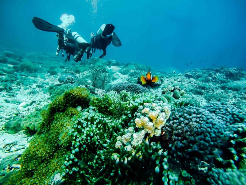 Plongée à Bali : Les plus beaux lieux de plongée