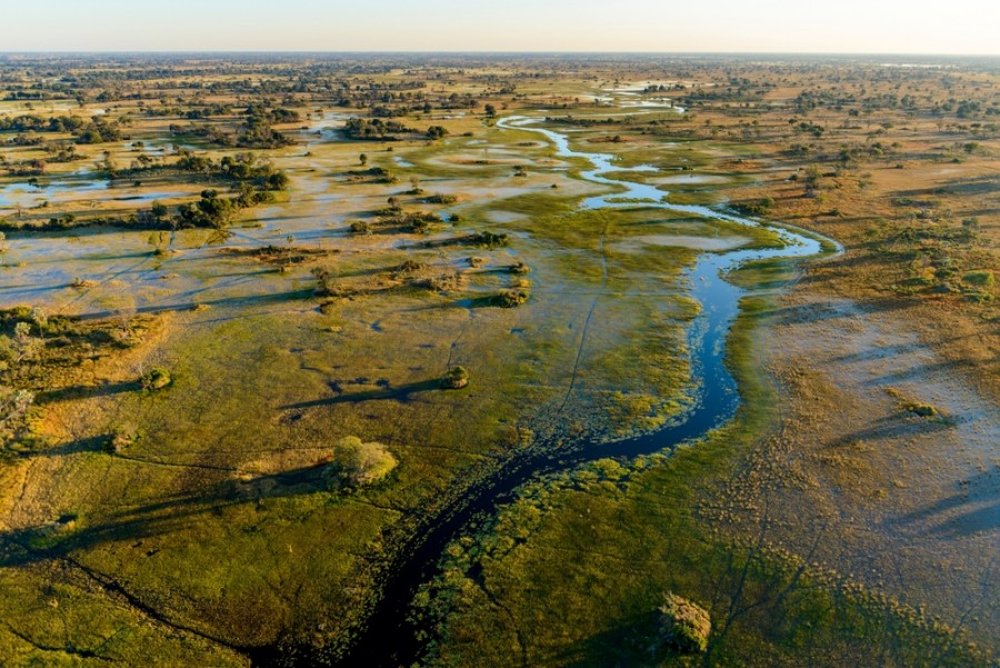 Quelle est la faune présente dans le delta de l'Okavango ?