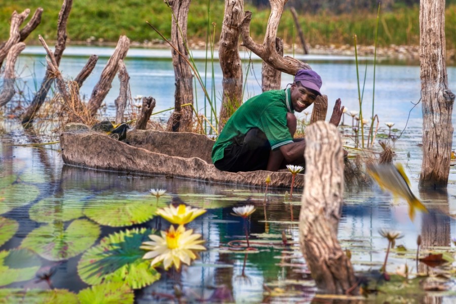 Quelle est la meilleure période pour visiter le delta de l'Okavango ?
