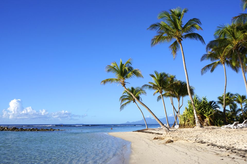 Organiser ses vacances en Guadeloupe