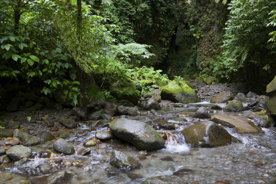 Existe-t-il des circuits touristiques pour visiter les gorges de la falaise ?