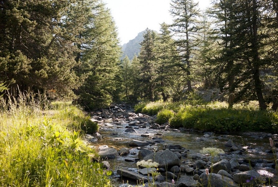 Vacances et randonnées dans le parc du Mercantour