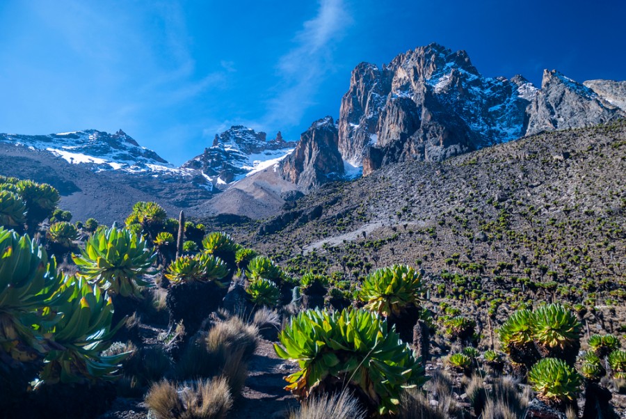 Découvrez le Mont Kenya : un voyage au sommet de l'Afrique