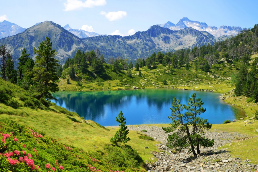 Parc national des pyrénées : vivre des moments inoubliables entre la France et l'Espagne