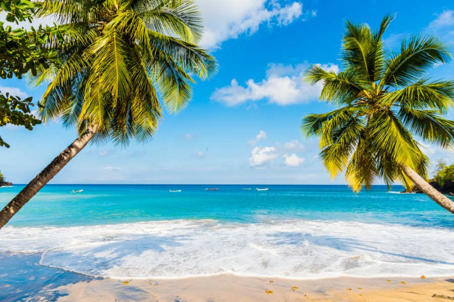 Découvrez la plus belle plage de la Martinique pour un séjour en amoureux