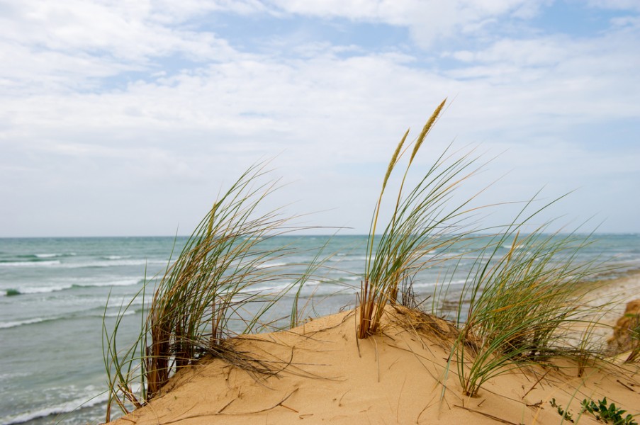 Visite ile d'Oléron : les choses incontournables à faire !