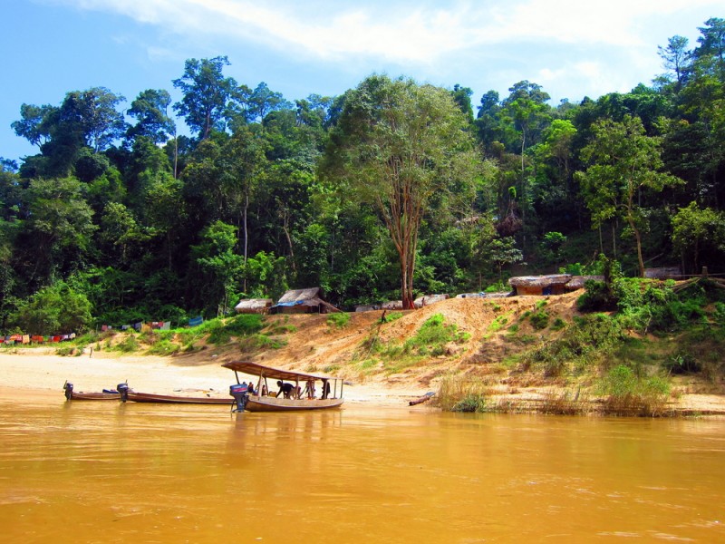 Découvrez le parc national de Taman Negara en Malaisie : un incontournable pour les amoureux de la nature